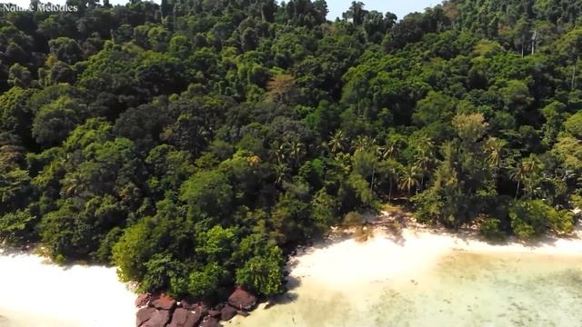 Музыка лечит душу – все ваши тревоги исчезнут, когда вы услышите эту мелодию. смотреть онлайн