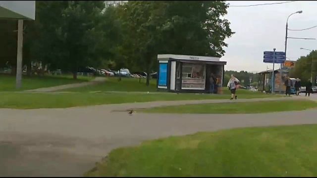 Большая #голубятня. Летите #голуби, летите! смотреть онлайн