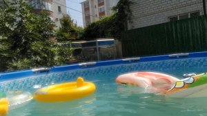 Уточки Ла-Ла Фан-Фан купаются в бассейне