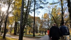 Придя с невестой на кладбище к родителям, богач оцепенел, едва к ней подбежала сиротка, назвав мамо