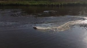 Катер на пульте управления