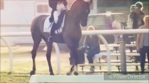 Очень красивый клип про лошадей!