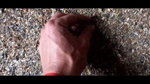 зск 70 Отзывы Веялка для зерна