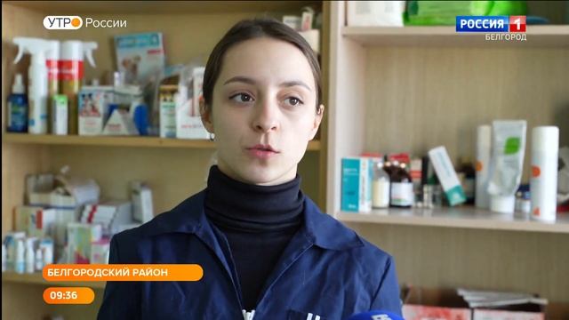 Выбери себе друга! Милые питомцы из "Доброго дома" ждут своих хозяев смотреть онлайн