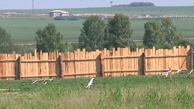 Жители города смогут узнать имеют ли они право владеть гаражом или дачей, и как это право оформить смотреть онлайн