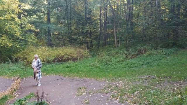 Каменная голова. Парк Сергиевка. смотреть онлайн