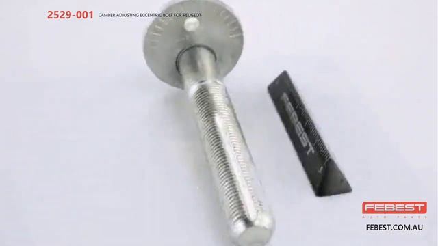 2529-001 CAMBER ADJUSTING ECCENTRIC BOLT FOR PEUGEOT смотреть онлайн