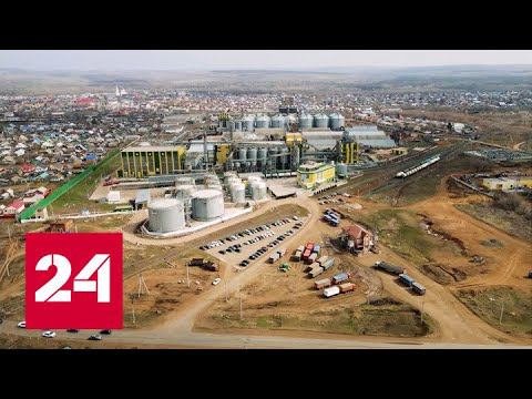 Российский бизнес справляется с западными санкциями - Россия 24