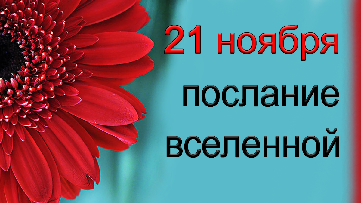ПОСЛАНИЕ ВСЕЛЕННОЙ на 21 ноября. *Эзотерика Для Тебя*