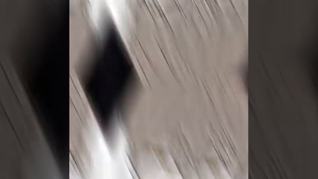 Манхва: Шах и Мат? смотреть онлайн