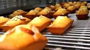 Массовое производство 80 000 единиц в день! Миндальный кекс диаметром 10 см, приготовленный на совре