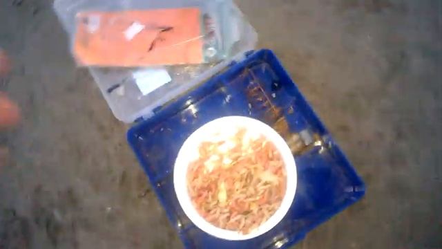 Рыбалка в Новосибирске , крупные лещи !!! смотреть онлайн