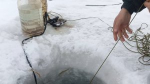 Проверка перемета.16.03.24г.Рыбалка продолжается.