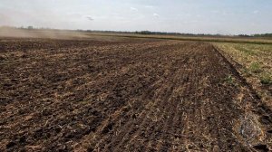 Работа дисковой бороны БДЛ 6х4П в сцепке с трактором Versatile 2375.