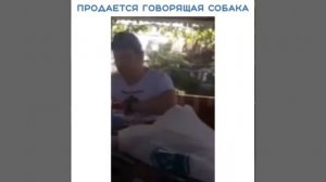 Анекдот про говорящую собаку