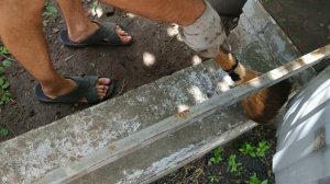 Сделал ДЕШЁВЫЕ ОТЛИВЫ ИЗ МЕТАЛЛА и Поставил их просто На Пену: показываю, как выглядит!