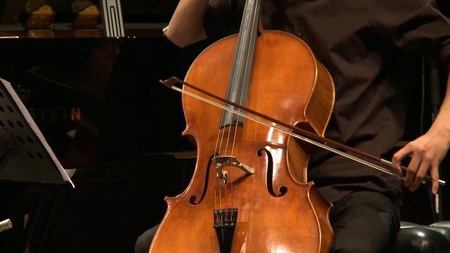 Philipp C. Mayer: Albumblätter - Anastasiia Ostapenko & Konstantin Arestov смотреть онлайн