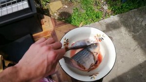 Карась в НОВОЙ коптильне. Учимся коптить рыбу)