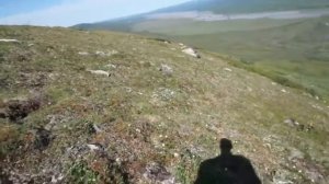 Что делать, если на тебя бежит медведь?