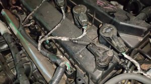 FORD FOCUS 2 2.0 звук мотора Холодный запуск