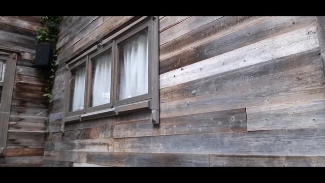 Неожиданно для себя набрела на историческое место в Казани - флигель, где родился Фёдор Шаляпин. смотреть онлайн