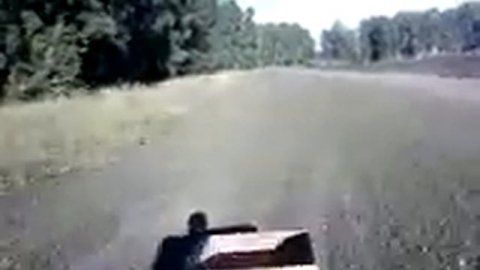 Мотособака летом