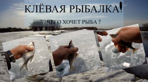 Клёвая рыбалка!