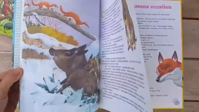 Сказки об удивительных животных в иллюстрациях Тони Вулфа смотреть онлайн