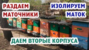 РАЗДАЕМ МАТОЧНИКИ ДАЕМ ВТОРЫЕ КОРПУСА ИЗОЛИРУЕМ МАТОК