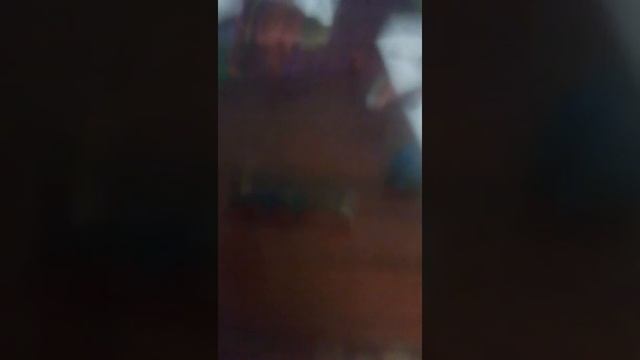 Обязательно вместительности обычных лисичек на волков большая лисичка и котенка смотреть онлайн