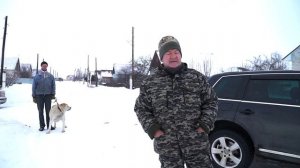 Племенные суки