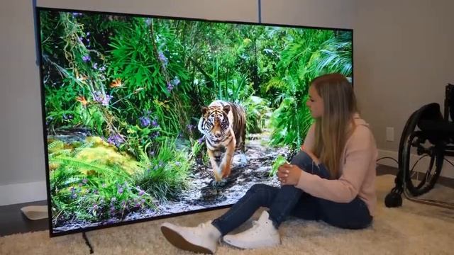 8k monitor display 8kモニターディスプレイ Pantalla de monitor 8k 8 কে মনিটর ডিসপ্লে смотреть онлайн