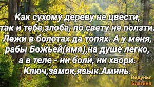 Обряд Заговор как избавиться от болезни.Свои недуги отдайте дереву.