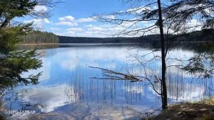 Голубые озера | Май 2021 Экотропа, Национальный парк "Нарочанский" Нарочь, Глубля, Болдук | Беларус