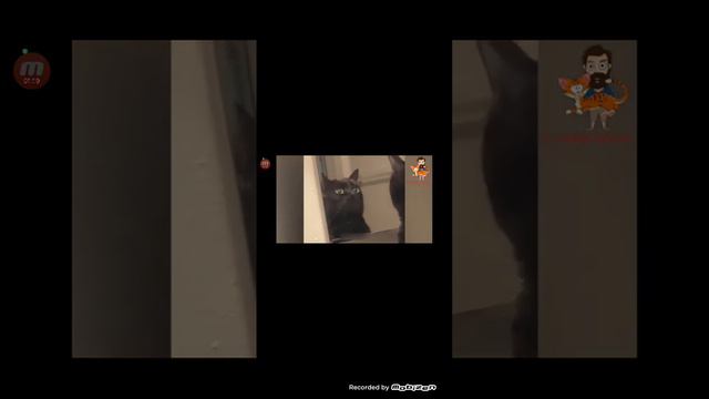 Когда будет 20 подписчиков будет стрим на 20 минут. смотреть онлайн