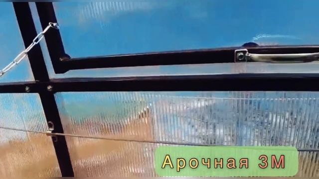 АРОЧНАЯ 3М. УСИЛЕННАЯ ТЕПЛИЦА.