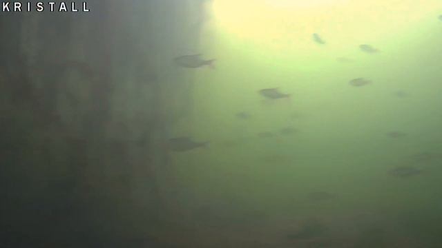 куча мелочи))) смотреть онлайн