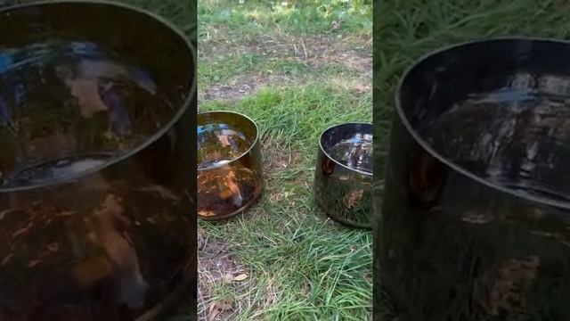 Хрустальные поющие чаши - кристальный звук под шум леса и пение птиц. #медитация #звукотерапия #чаш