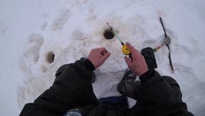 Решил поменять свой мото-буксировщик Пахус. Какой снегоход выбрать? Тайга, Stels, BRP, Yamaha?