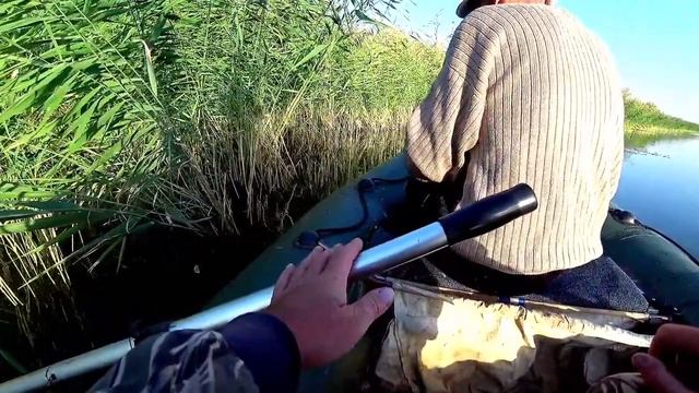 РЫБАЛКА с подписчиком на ЗМЕЕГОЛОВА//Орловские озера.Заключительный день смотреть онлайн