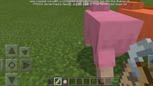 Как сделать радужную овцу в майнкрафте. День 2