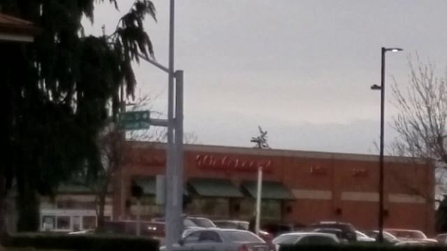 Red Cross Disaster Relief??? Nothing to see here! смотреть онлайн