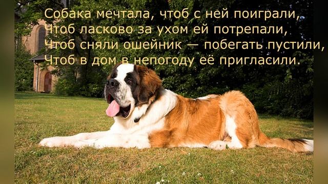 Стих "Злая" собака Константин Журавлев Для Кирюши