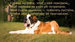 Стих "Злая" собака Константин Журавлев Для Кирюши