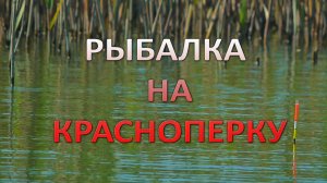 Рыбалка на красноперку