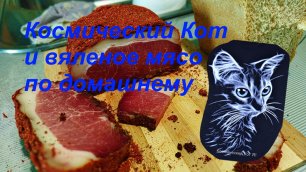 Космический кот и вяленое мясо по домашнему.mp4