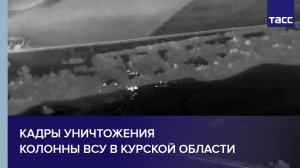 Кадры уничтожения колонны ВСУ в Курской области
