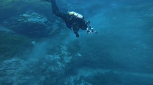 Чем снимаем под водой - моя версия подводного комплекта для фото и видеосъёмки.