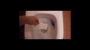 СМЫЛ ВЛАДА А4 В УНИТАЗ //17 секунд в унитазе челлендж