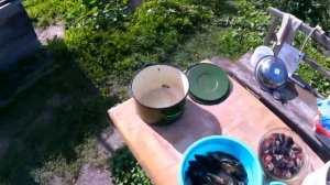 Карась, ротан Солим ротана